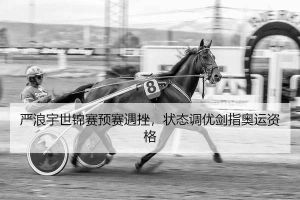 严浪宇世锦赛预赛遇挫，状态调优剑指奥运资格